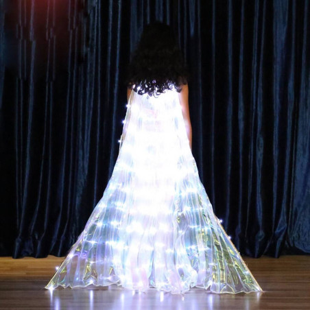 Asa Wings de LED Inteira Infantil