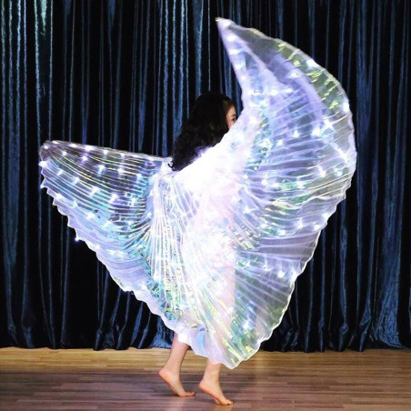 Asa Wings de LED Inteira Infantil