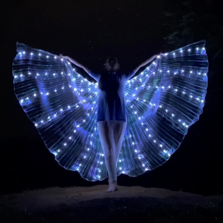 Asa de LED Inteira 2mm