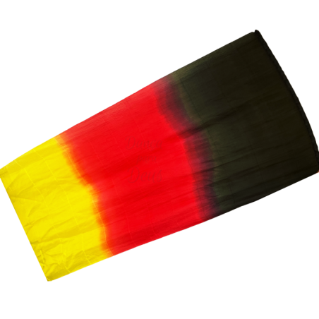 Bandeira Flexível de Seda