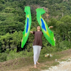 Fan Véu - Leque Brasil - Loja Dança para Deus