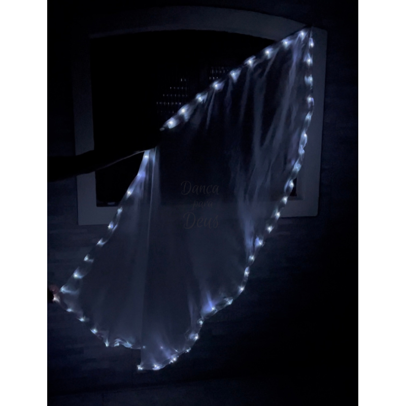 Bandeira LED Meio Circulo