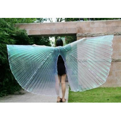 Asas Wings com Abertura