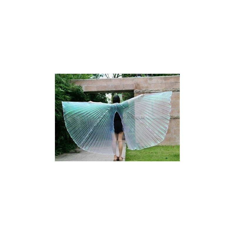 Asas Wings com Abertura