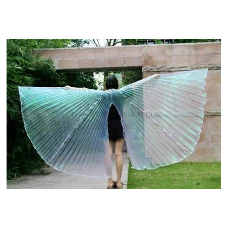 Asas Wings com Abertura